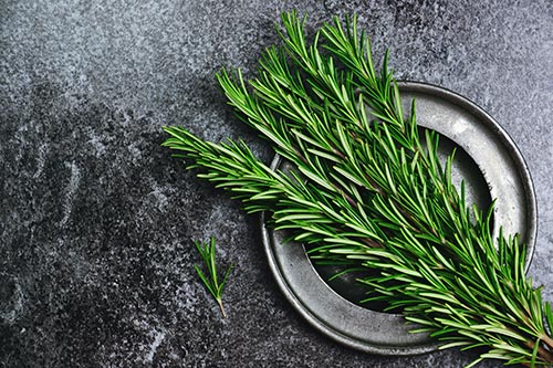 Organic Rosemary Verbenone